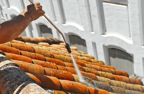 Nettoyage de toitures - Isdes